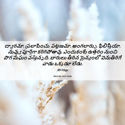 Picture 06 - యెషయా 14:31 TELIRV - ద్వారమా, - Bible Verse Picture
