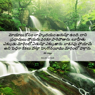 Picture 06 - యెషయా 15:5 TELIRV - మోయాబు కోసం నా - Bible Verse Picture