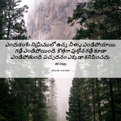 Picture 06 - యెషయా 15:6 TELIRV - ఎందుకంటే - Bible Verse Picture