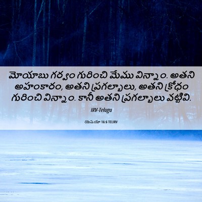 Picture 06 - యెషయా 16:6 TELIRV - మోయాబు గర్వం - Bible Verse Picture