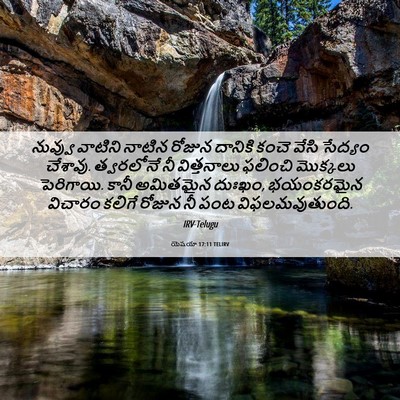 Picture 06 - యెషయా 17:11 TELIRV - నువ్వు వాటిని - Bible Verse Picture