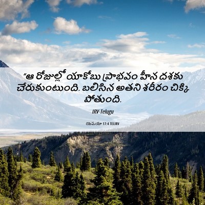 Picture 06 - యెషయా 17:4 TELIRV - “ఆ రోజుల్లో - Bible Verse Picture