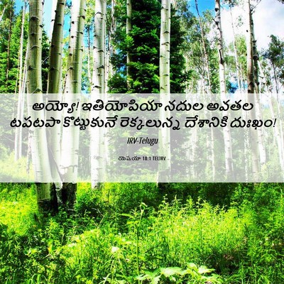 Picture 06 - యెషయా 18:1 TELIRV - అయ్యో! ఇతియోపియా - Bible Verse Picture
