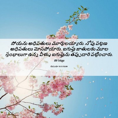 Picture 06 - యెషయా 19:13 TELIRV - సోయను అధిపతులు - Bible Verse Picture