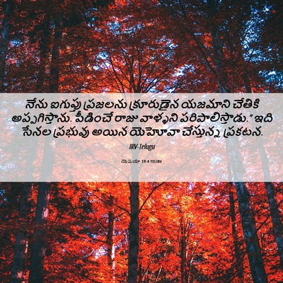 Picture 06 - యెషయా 19:4 TELIRV - నేను ఐగుప్తు - Bible Verse Picture