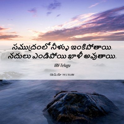 Picture 06 - యెషయా 19:5 TELIRV - సముద్రంలో నీళ్ళు - Bible Verse Picture