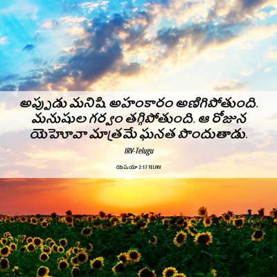 Picture 06 - యెషయా 2:17 TELIRV - అప్పుడు మనిషి - Bible Verse Picture