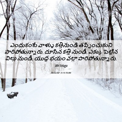 Picture 06 - యెషయా 21:15 TELIRV - ఎందుకంటే వాళ్ళు - Bible Verse Picture
