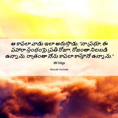 Picture 06 - యెషయా 21:8 TELIRV - ఆ కాపలా వాడు ఇలా - Bible Verse Picture