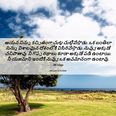 Picture 06 - యెషయా 22:18 TELIRV - ఆయన నిన్ను - Bible Verse Picture