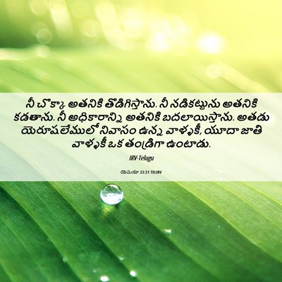 Picture 06 - యెషయా 22:21 TELIRV - నీ చొక్కా అతనికి - Bible Verse Picture