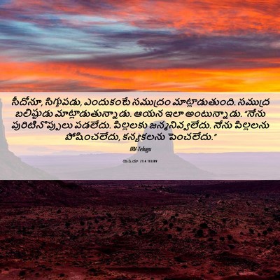 Picture 06 - యెషయా 23:4 TELIRV - సీదోనూ, సిగ్గుపడు, - Bible Verse Picture