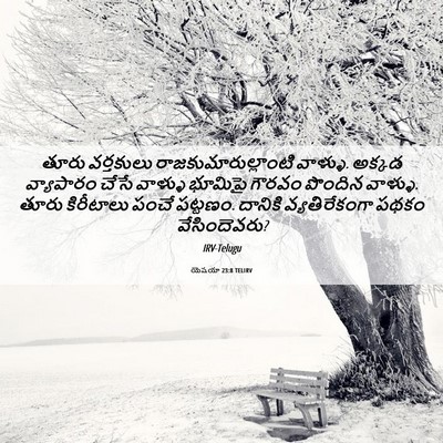 Picture 06 - యెషయా 23:8 TELIRV - తూరు వర్తకులు - Bible Verse Picture