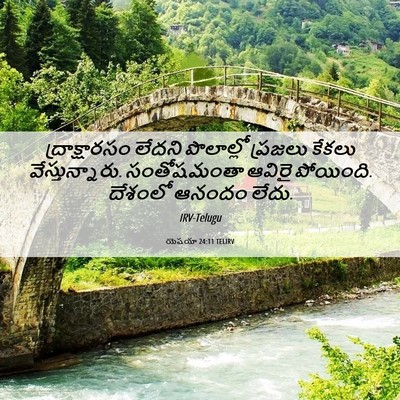 Picture 06 - యెషయా 24:11 TELIRV - ద్రాక్షారసం లేదని - Bible Verse Picture