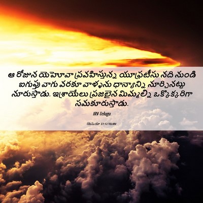 Picture 06 - యెషయా 27:12 TELIRV - ఆ రోజున యెహోవా - Bible Verse Picture