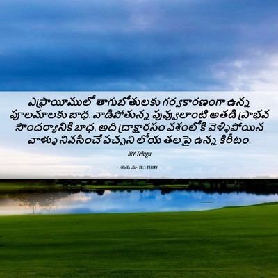 Picture 06 - యెషయా 28:1 TELIRV - ఎఫ్రాయీములో - Bible Verse Picture