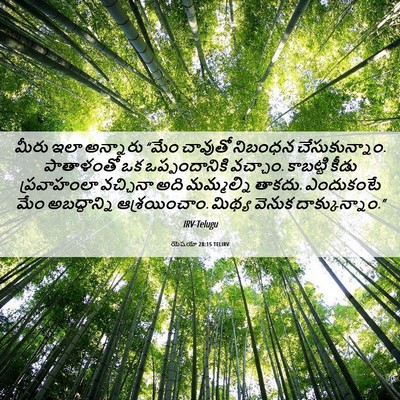 Picture 06 - యెషయా 28:15 TELIRV - మీరు ఇలా అన్నారు - Bible Verse Picture