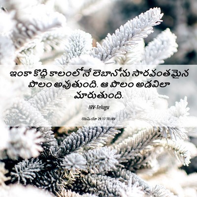 Picture 06 - యెషయా 29:17 TELIRV - ఇంకా కొద్ది - Bible Verse Picture