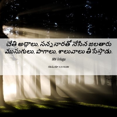 Picture 06 - యెషయా 3:23 TELIRV - చేతి అద్దాలు, - Bible Verse Picture