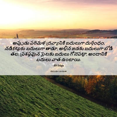 Picture 06 - యెషయా 3:24 TELIRV - అప్పుడు పరిమళ - Bible Verse Picture