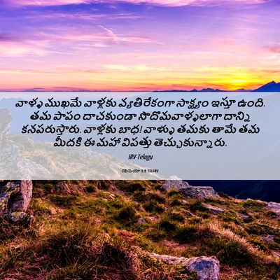 Picture 06 - యెషయా 3:9 TELIRV - వాళ్ళ ముఖమే - Bible Verse Picture
