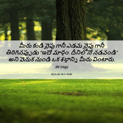 Picture 06 - యెషయా 30:21 TELIRV - మీరు కుడి వైపు - Bible Verse Picture
