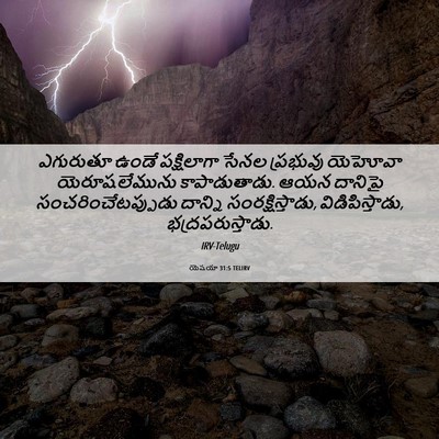 Picture 06 - యెషయా 31:5 TELIRV - ఎగురుతూ ఉండే - Bible Verse Picture