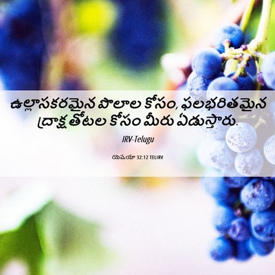 Picture 06 - యెషయా 32:12 TELIRV - ఉల్లాసకరమైన పొలాల - Bible Verse Picture