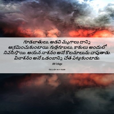 Picture 06 - యెషయా 34:11 TELIRV - గూడబాతులు, అడవి - Bible Verse Picture