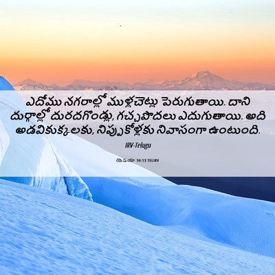 Picture 06 - యెషయా 34:13 TELIRV - ఎదోము నగరాల్లో - Bible Verse Picture