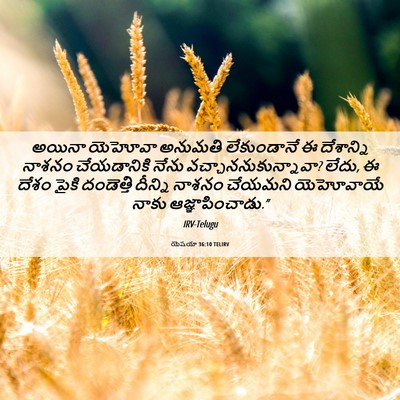 Picture 06 - యెషయా 36:10 TELIRV - అయినా యెహోవా - Bible Verse Picture