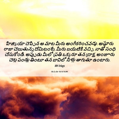 Picture 06 - యెషయా 36:16 TELIRV - హిజ్కియా చెప్పిన - Bible Verse Picture