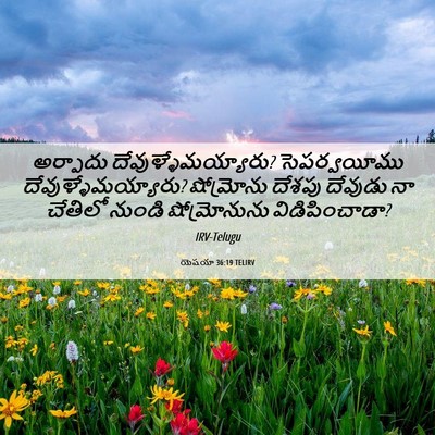 Picture 06 - యెషయా 36:19 TELIRV - అర్పాదు - Bible Verse Picture