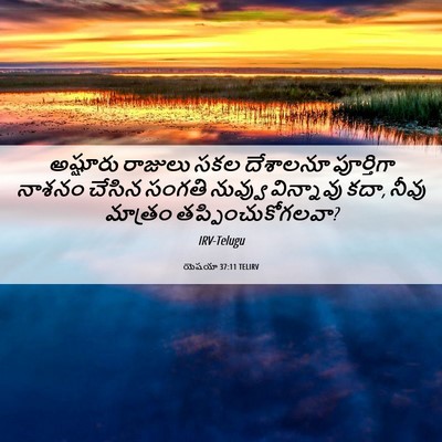 Picture 06 - యెషయా 37:11 TELIRV - అష్షూరు రాజులు - Bible Verse Picture