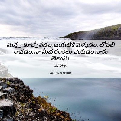 Picture 06 - యెషయా 37:28 TELIRV - నువ్వు కూర్చోవడం, - Bible Verse Picture