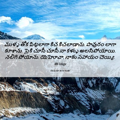 Picture 06 - యెషయా 38:14 TELIRV - ముళ్ళ తోక - Bible Verse Picture