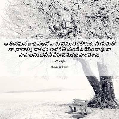 Picture 06 - యెషయా 38:17 TELIRV - ఆ తీవ్రమైన బాధ - Bible Verse Picture
