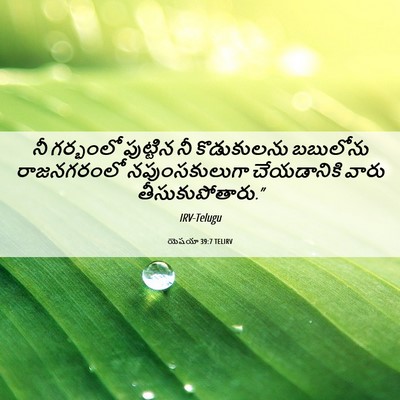 Picture 06 - యెషయా 39:7 TELIRV - నీ గర్భంలో - Bible Verse Picture
