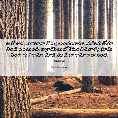 Picture 06 - యెషయా 4:2 TELIRV - ఆ రోజున యెహోవా - Bible Verse Picture