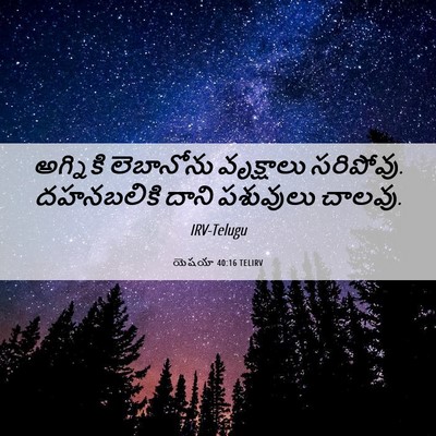 Picture 06 - యెషయా 40:16 TELIRV - అగ్నికి లెబానోను - Bible Verse Picture