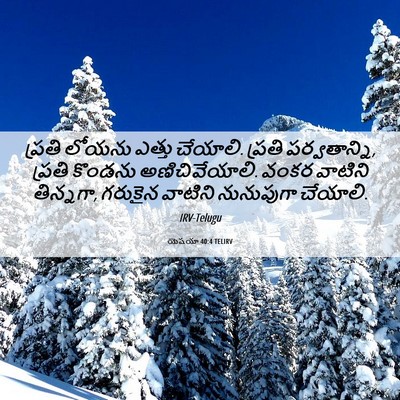 Picture 06 - యెషయా 40:4 TELIRV - ప్రతి లోయను ఎత్తు - Bible Verse Picture