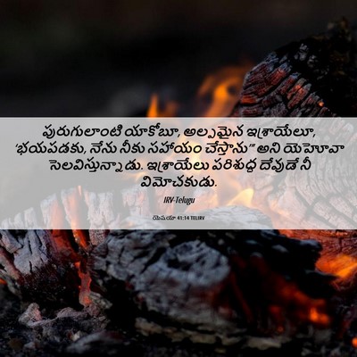 Picture 06 - యెషయా 41:14 TELIRV - పురుగులాంటి - Bible Verse Picture