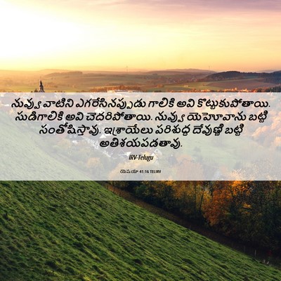 Picture 06 - యెషయా 41:16 TELIRV - నువ్వు వాటిని - Bible Verse Picture