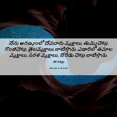 Picture 06 - యెషయా 41:20 TELIRV - నేను అరణ్యంలో - Bible Verse Picture