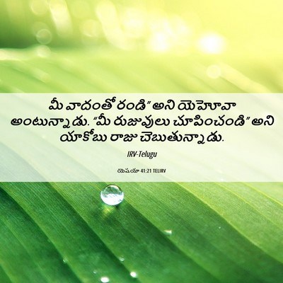 Picture 06 - యెషయా 41:21 TELIRV - మీ వాదంతో రండి” - Bible Verse Picture