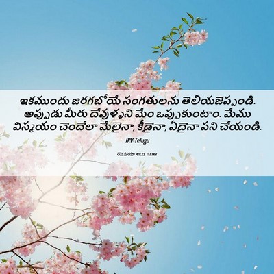 Picture 06 - యెషయా 41:23 TELIRV - ఇకముందు జరగబోయే - Bible Verse Picture