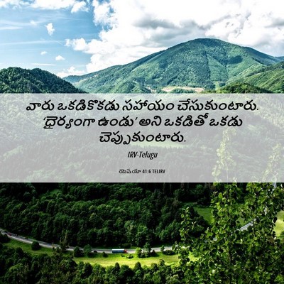 Picture 06 - యెషయా 41:6 TELIRV - వారు ఒకడికొకడు - Bible Verse Picture