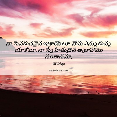 Picture 06 - యెషయా 41:8 TELIRV - నా సేవకుడవైన - Bible Verse Picture