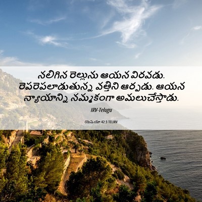 Picture 06 - యెషయా 42:3 TELIRV - నలిగిన రెల్లును - Bible Verse Picture