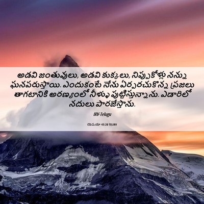 Picture 06 - యెషయా 43:20 TELIRV - అడవి జంతువులు, - Bible Verse Picture